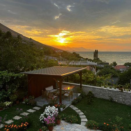 ホテル Aloha House Shkodër エクステリア 写真